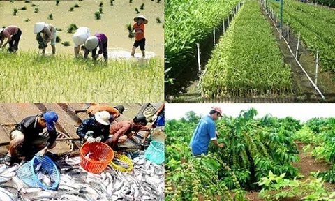 Hội thảo ASEAN về khử carbon trong lĩnh vực nông - lâm - nghiệp