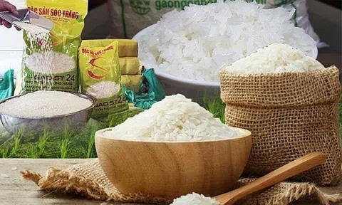 Giá lúa gạo tăng nhẹ sau nhiều phiên điều chỉnh giảm