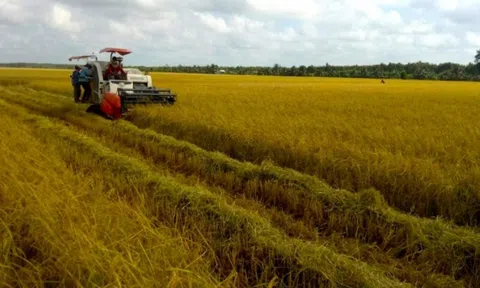 Góp ý dự thảo Luật đất đai sửa đổi: Ngân hàng đất đai "cởi trói” đất nông nghiệp