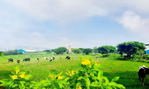 Lâm Đồng: Thêm 6.000 hộ ký cam kết sản xuất đảm bảo an toàn thực phẩm