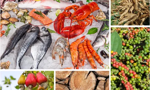 Thị trường nào nhập khẩu nông lâm, thủy sản lớn nhất của Việt Nam hiện nay?