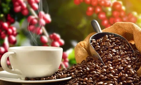 Giá cà phê ngày 02/3: Giá cà phê trong nước tăng mạnh, giá cà phê trên sàn thế giới biến động trái chiều
