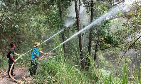 Kiên Giang triển khai đồng bộ nhiều giải pháp phòng, chống cháy rừng mùa khô
