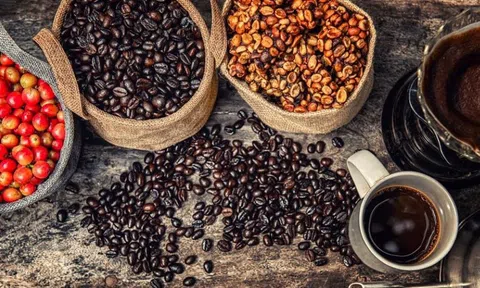 Giá cà phê ngày 10/3: Giá cà phê trong nước tăng nhẹ, cao nhất 48.000 đồng/kg