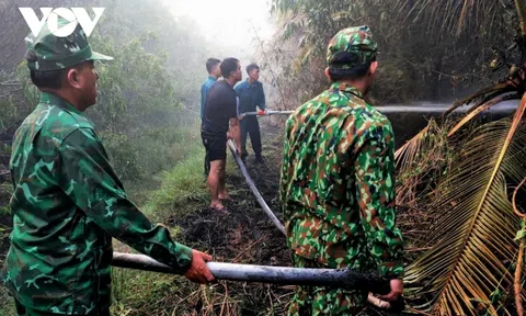 An Giang: Lực lượng chức năng kịp thời dập tắt đám cháy rừng tràm