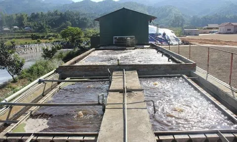 Đồng Nai: 12 khu công nghiệp gắn camera giám sát xung quanh trạm xử lý nước thải tập trung