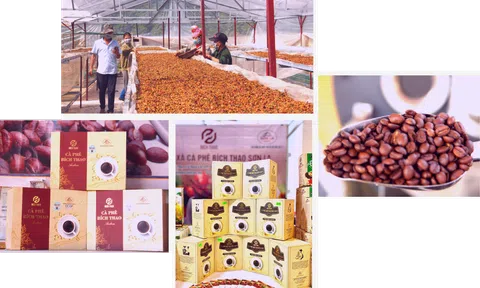 Sơn La hướng tới xây dựng những sản phẩm OCOP 5 sao cấp quốc gia