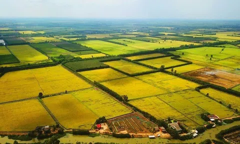 Góp ý dự thảo Luật Đất đai (sửa đổi): Bảo vệ đất nông nghiệp phải là nguyên tắc