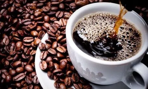 Giá cà phê ngày 18/3: Giá cà phê trong nước và thế giới cùng tăng