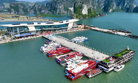 Ngành Du lịch Quảng Ninh khai thác thêm 2 tuyến du lịch mới trên vịnh Bái Tử Long