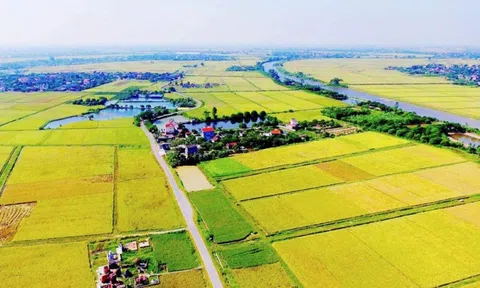 Quy định về hạn mức giao đất nông nghiệp tại dự thảo Luật Đất đai (sửa đổi)