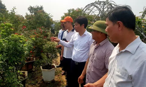 Anh nông dân Thủ đô trồng hoa hồng thu lợi nhuận 1 tỷ đồng/năm/ha