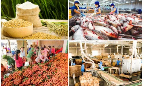 Cả nước có hơn 1.700 chuỗi cung cấp thực phẩm nông, lâm, thủy sản an toàn