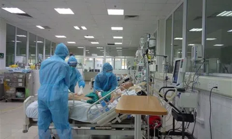 Xuất hiện ca bệnh nhiễm biến chủng phụ XBB.1.5 của Covid-19 tại TP.HCM