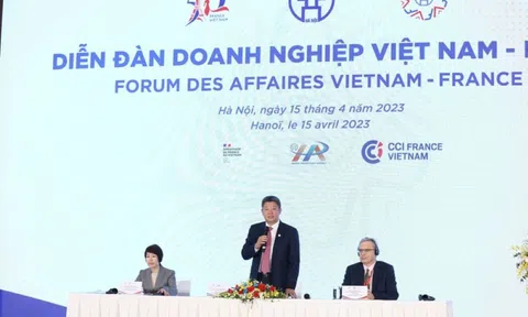 Diễn đàn doanh nghiệp Việt Nam - Pháp: Thúc đẩy phát triển các dự án xanh bền vững