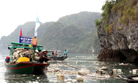 Quảng Ninh: Thu gom hơn 2.000 m3 rác thải trôi nổi trên vịnh Hạ Long