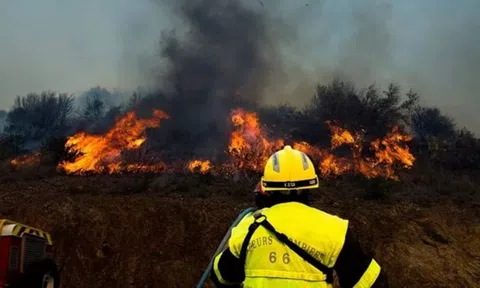 Cháy rừng tại Pháp khiến gần 1.000ha rừng bị thiêu rụi