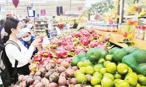 Thủ tướng chỉ đạo tháo gỡ khó khăn, vướng mắc thúc đẩy sản xuất, tiêu thụ nông sản; thực hiện 3 Chương trình mục tiêu quốc gia; chống khai thác hải sản bất hợp pháp