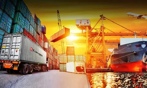 Cảnh báo lừa đảo khi xuất khẩu điều sang Algeria