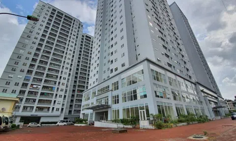 Vi phạm phí bảo trì chung cư 12 chủ đầu tư bị phạt hơn 13 tỷ đồng