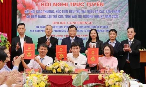 Bắc Giang dự kiến xuất khẩu 1.500 tấn vải thiều sang Hoa Kỳ