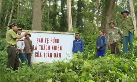 Quy định mới về mức hỗ trợ dân cư vùng đệm các khu rừng đặc dụng