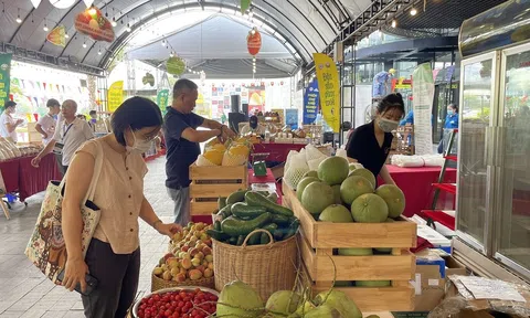 TP. Hồ Chí Minh: Người tiêu dùng có cơ hội mua sắm hơn 1.000 nông đặc sản vùng miền