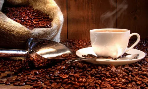 Giá cà phê ngày 05/5: Giá cà phê trong nước đi ngang, cao nhất 52.600 đồng/kg