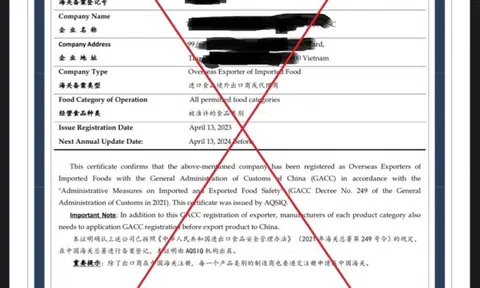 Cảnh báo tình trạng giả mạo giấy chứng nhận xuất khẩu nông sản sang Trung Quốc