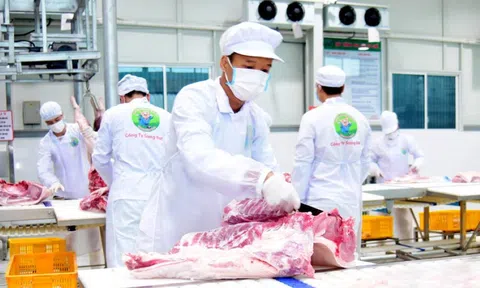 Xuất khẩu thịt và các sản phẩm thịt đạt tăng trưởng 2 con số