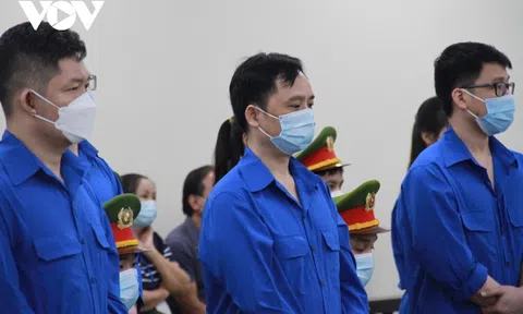 Chủ tịch Louis Holding bị đề nghị mức án 6-7 năm tù vì thao túng chứng khoán