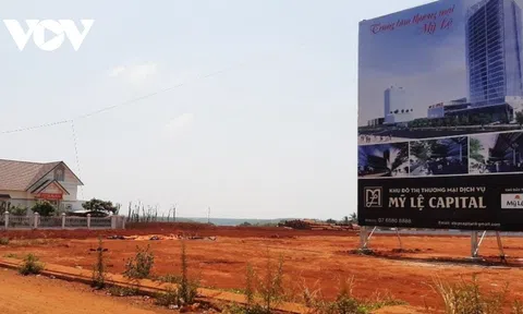 Bình Phước công khai 41 dự án, công trình chậm hoặc không đưa đất vào sử dụng gây lãng phí tài nguyên