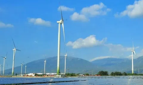 Lý do khiến nhiều doanh nghiệp điện gió thua lỗ