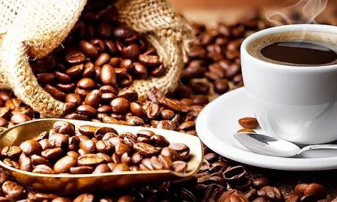 Giá cà phê ngày 25/5: Giá cà phê trong nước giảm, giá thu mua cao nhất 60.600 đồng/kg