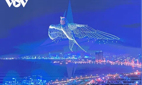 Festival Biển Nha Trang - Khánh Hòa sẽ diễn ra từ ngày 03 - 06/6