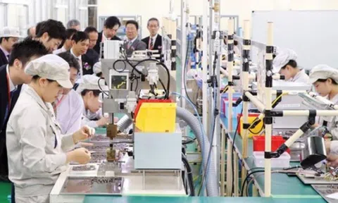 Kỳ vọng lợi nhuận tăng, 60% doanh nghiệp bán lẻ Nhật Bản tại Việt Nam sẽ mở rộng kinh doanh