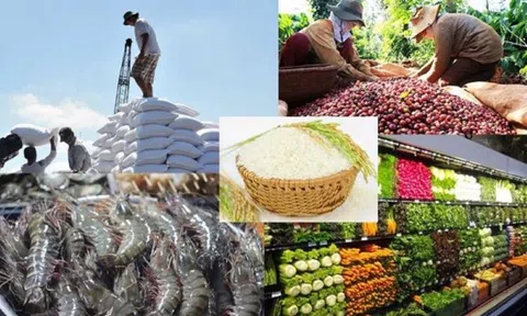 5 tháng đầu năm 2023, cả nước xuất siêu 9,8 tỉ USD, xuất nhập khẩu đã bắt đầu khởi sắc