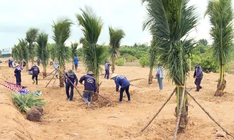 Quảng Ngãi sẽ trồng 185ha cây xanh tại Khu kinh tế Dung Quất và các Khu công nghiệp