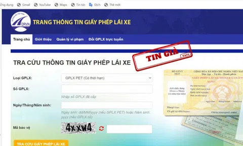 Nhiều website giả mạo tra cứu, cấp đổi giấy phép lái xe