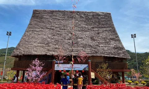 Kon Tum: Huyện Đăk Glei quy hoạch vùng nguyên liệu để giữ mái nhà Rông