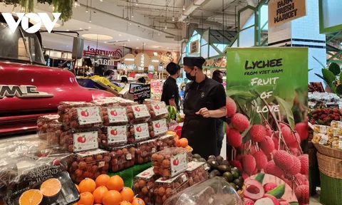 Vải thiều Việt Nam chinh phục thị trường Thái Lan