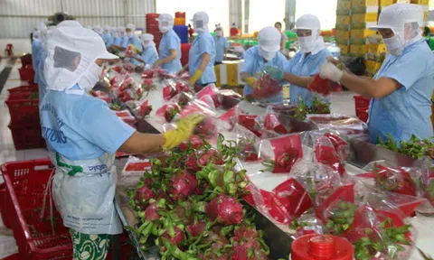 8 giải pháp trọng tâm thúc đẩy xuất khẩu trong 6 tháng cuối năm 2023