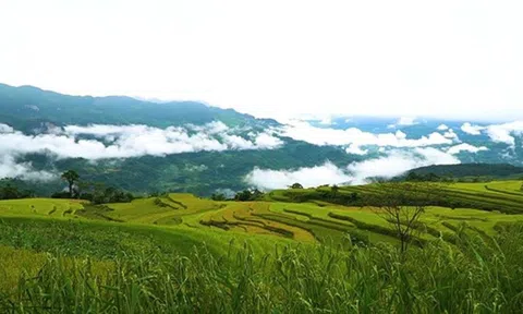 Tuyên Quang: Du lịch nông nghiệp đang phát triển mạnh ở huyện Na Hang