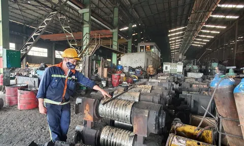 6 tháng đầu năm, Đắk Lắk có  707 doanh nghiệp thành lập mới, 655 doanh nghiệp giải thể, tạm ngừng hoạt động