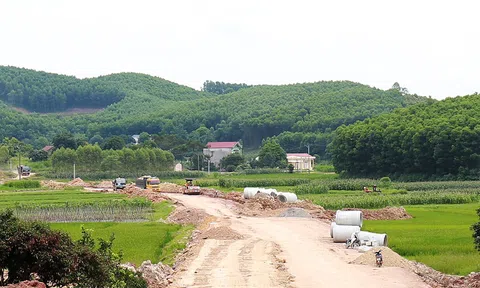 Bắc Giang: Công bố đơn giá bồi thường tài sản trên đất là cây trồng, vật nuôi khi Nhà nước thu hồi đất