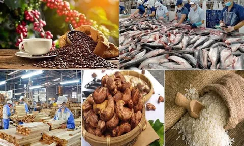 Dự báo thị trường xuất khẩu nông lâm thủy sản nửa cuối năm 2023