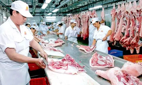 Giá heo hơi giảm trên diện rộng, dao động quanh mốc 59.000 - 64.000 đồng/kg