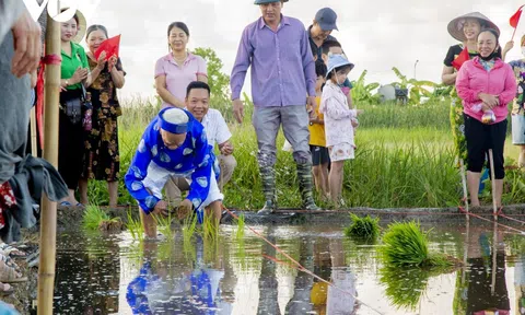 Quảng Ninh: Rộn ràng Lễ hội xuống đồng ở thị xã Quảng Yên