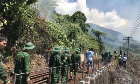 Đà Nẵng: Huy động 150 người kịp thời dập tắt đám cháy rừng trên đèo Hải Vân