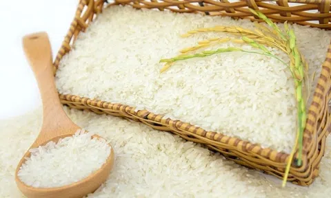 Giá lúa gạo hôm nay 28/7: Thị trường lúa gạo trong nước đi ngang, gạo xuất khẩu tiếp đà tăng mạnh